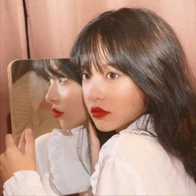 赖猫的狮子倒影
