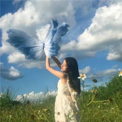 不是钱的事2012